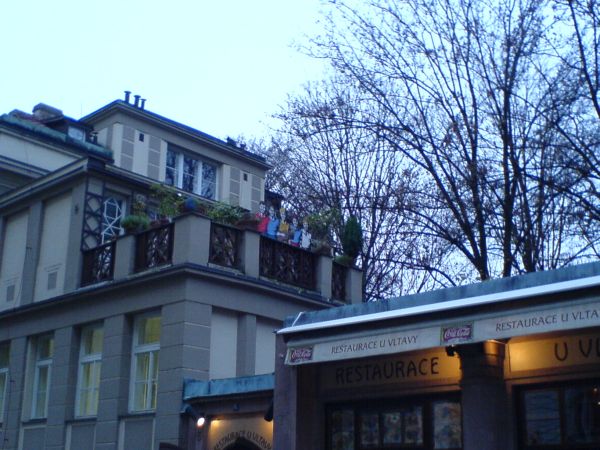 Hledme Rychl py 2006, Behov 43/3