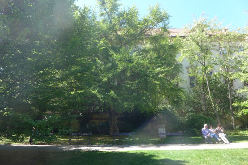 Snov atmosfra Nosticovy zahrady 7. 5. 2018