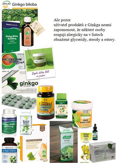 Ginkgo biloba