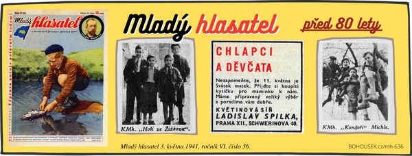 Mlad� hlasatel 6 / 36