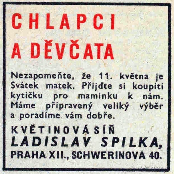 Mlad� hlasatel 6 / 36 - Den matek