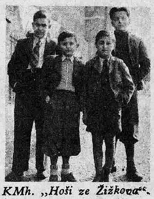 Mlad� hlasatel 6 / 36 - Ho�i ze �i�kova