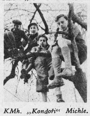 Mlad� hlasatel 6 / 36 - Kondo�i