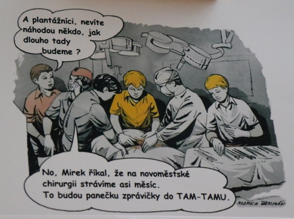 Vstava v Novm Mst na Morav 2022