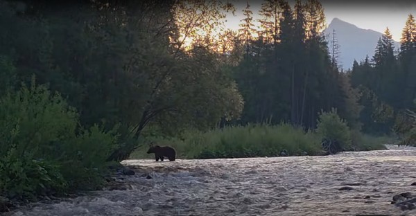 N�v�t�vn�k u Zelen� ���ky